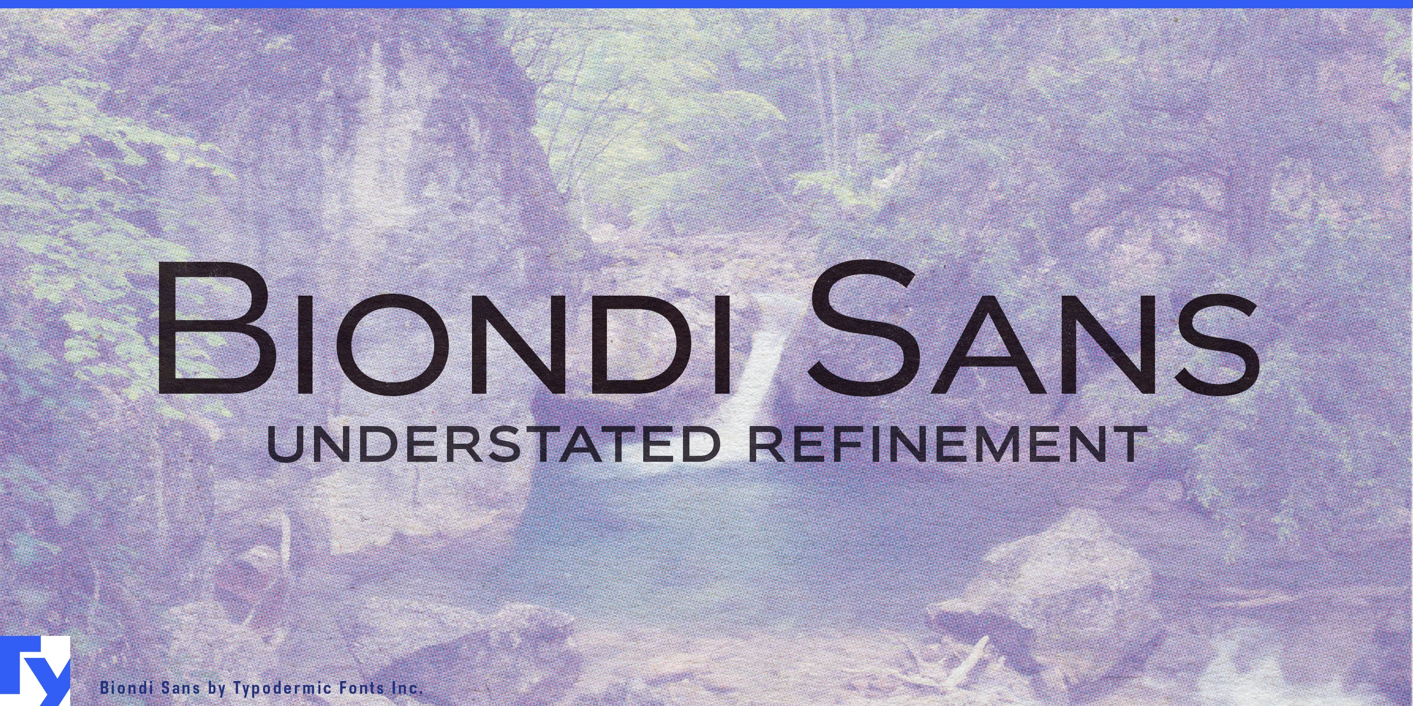 Spécimen 1 de Biondi Sans