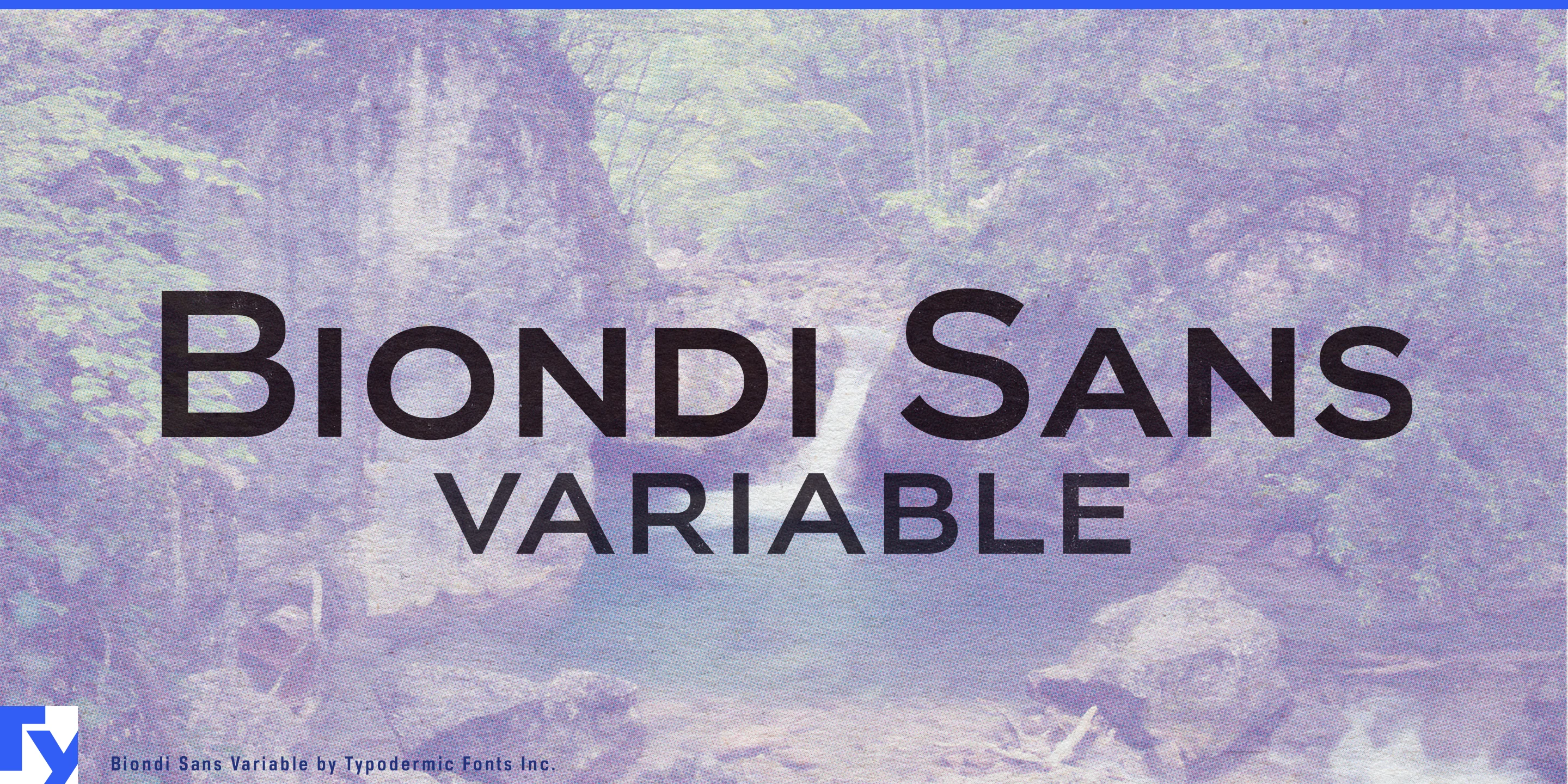 Spécimen 8 de Biondi Sans