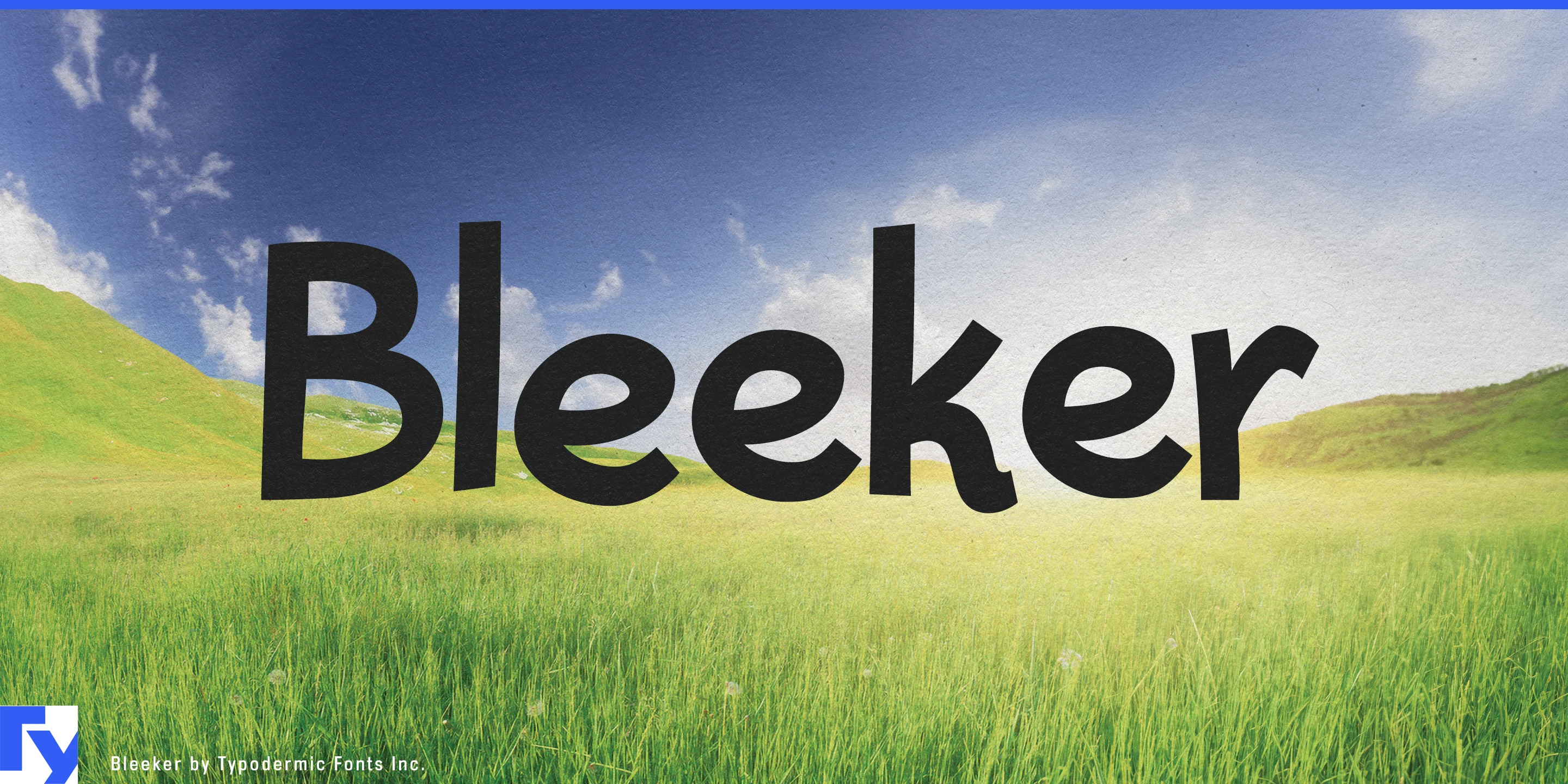 Muestra 1 de Bleeker