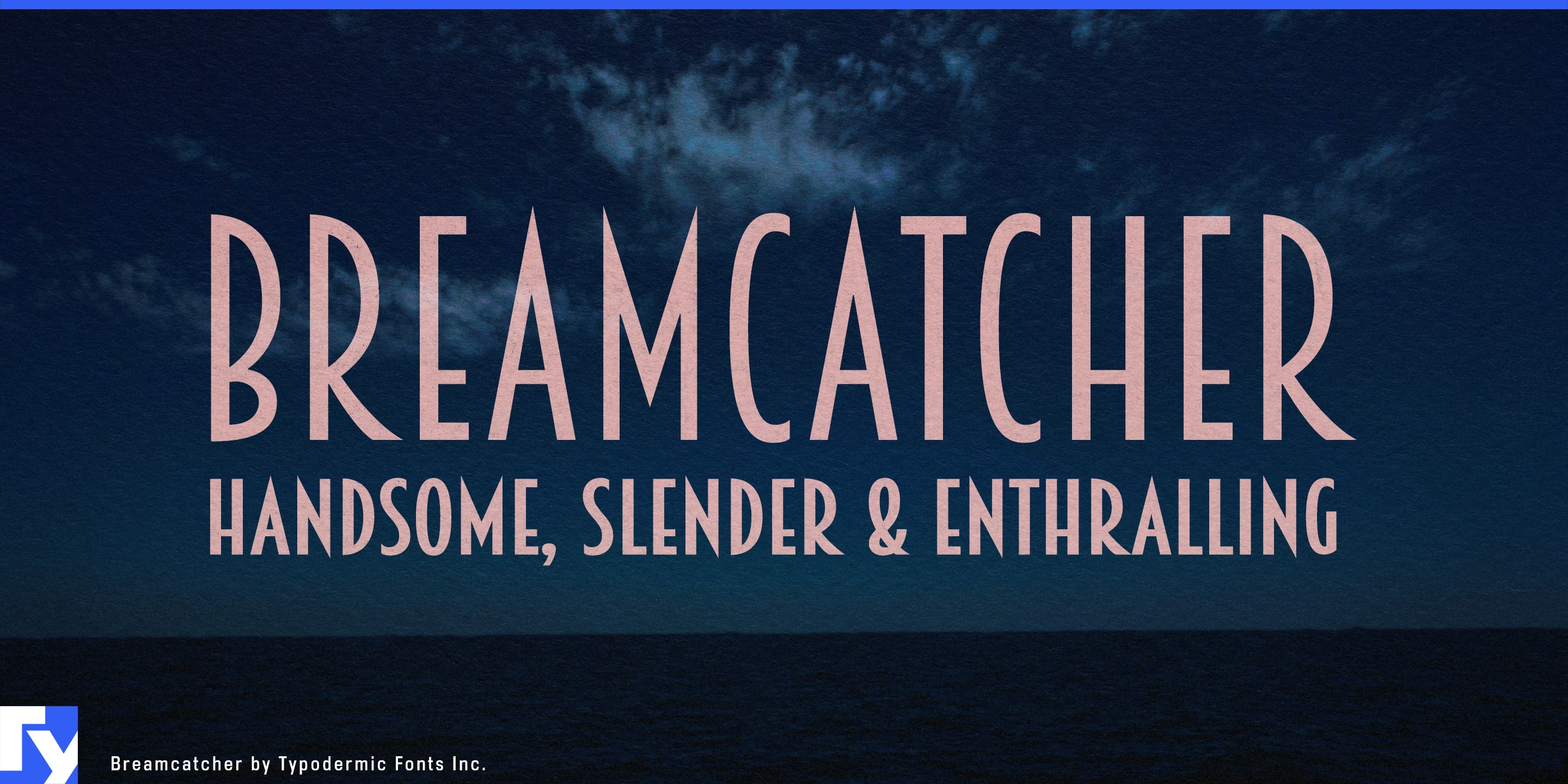 Spécimen 1 de Breamcatcher