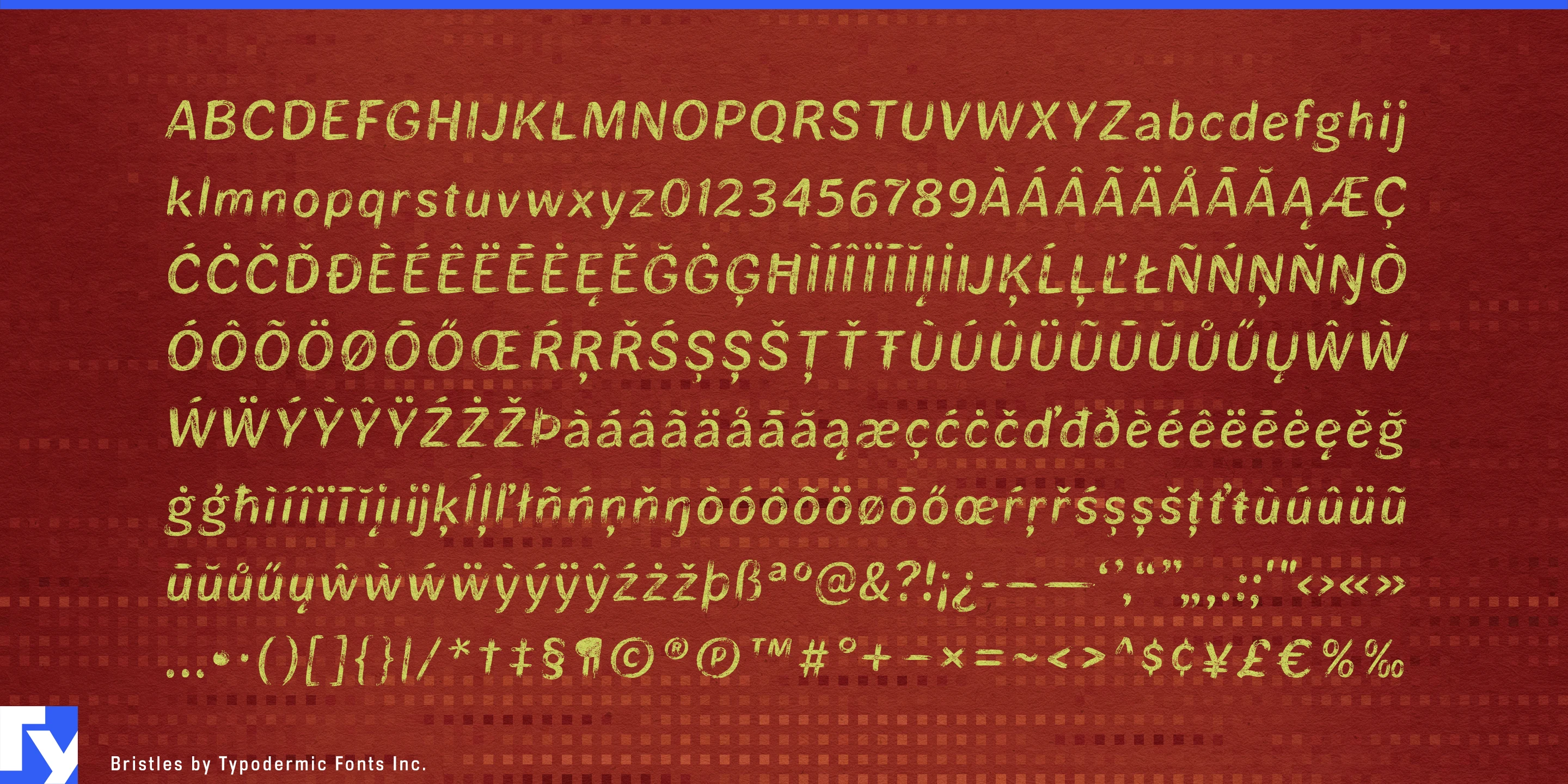 Schriftmuster 5 von Bristles