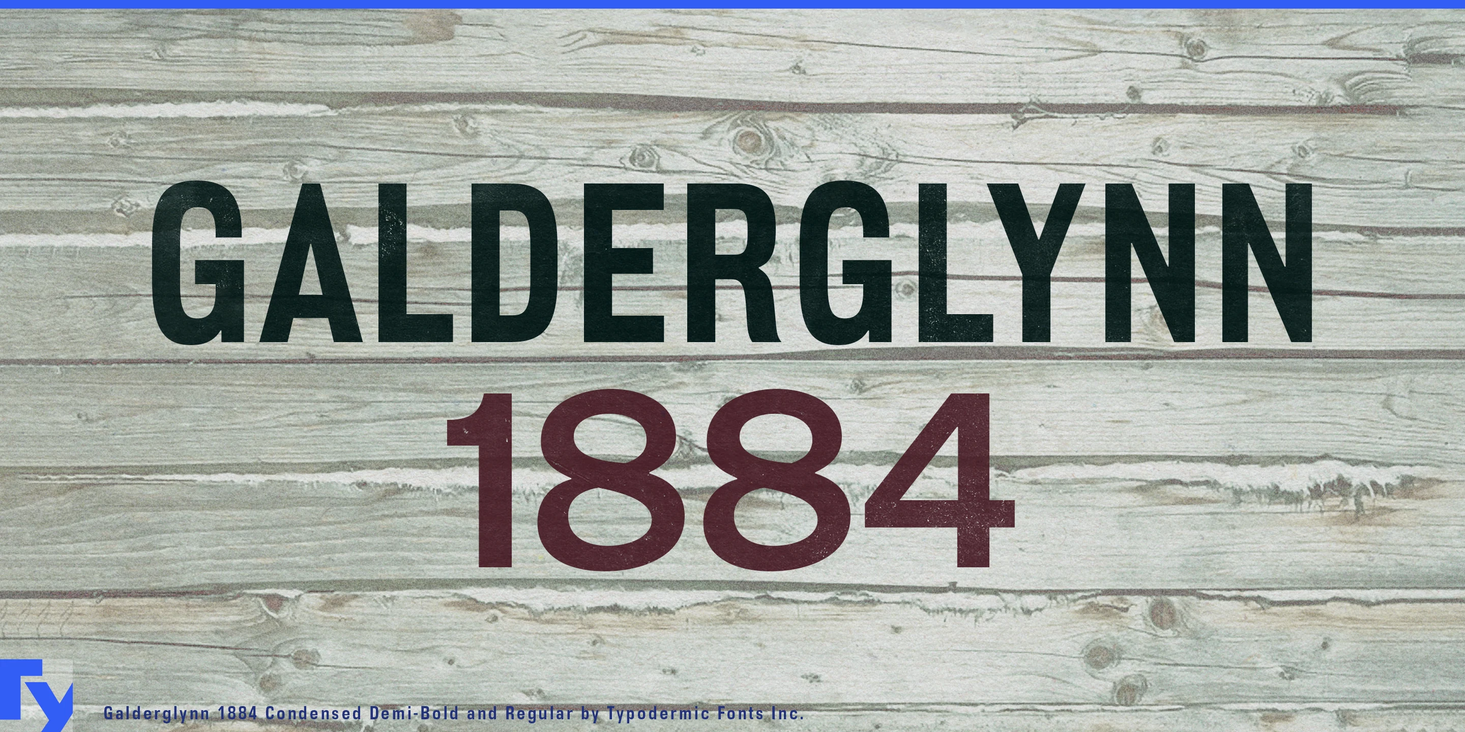 Muestra 1 de Galderglynn 1884