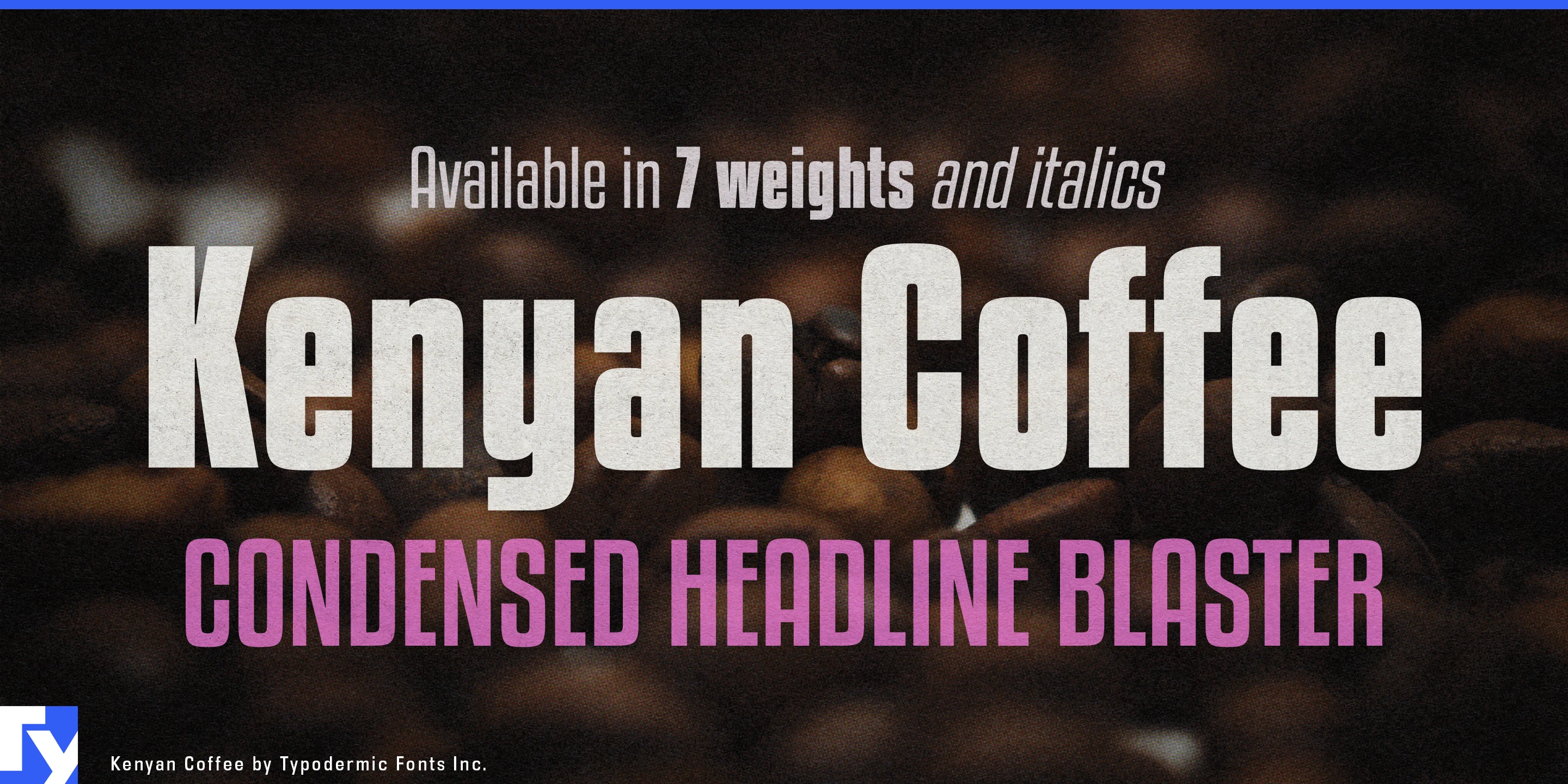 Muestra 1 de Kenyan Coffee