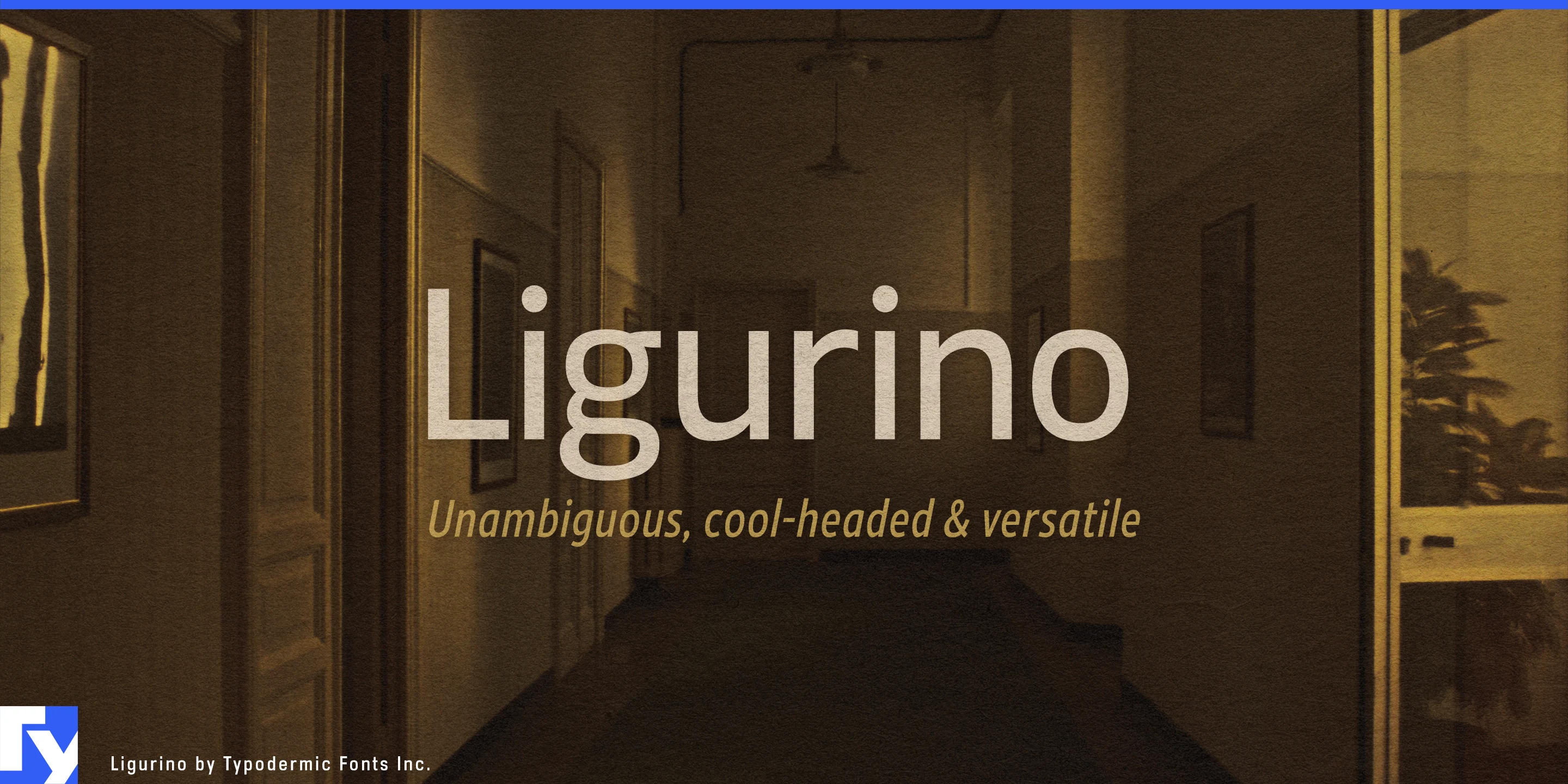 Ligurinoの見本 1