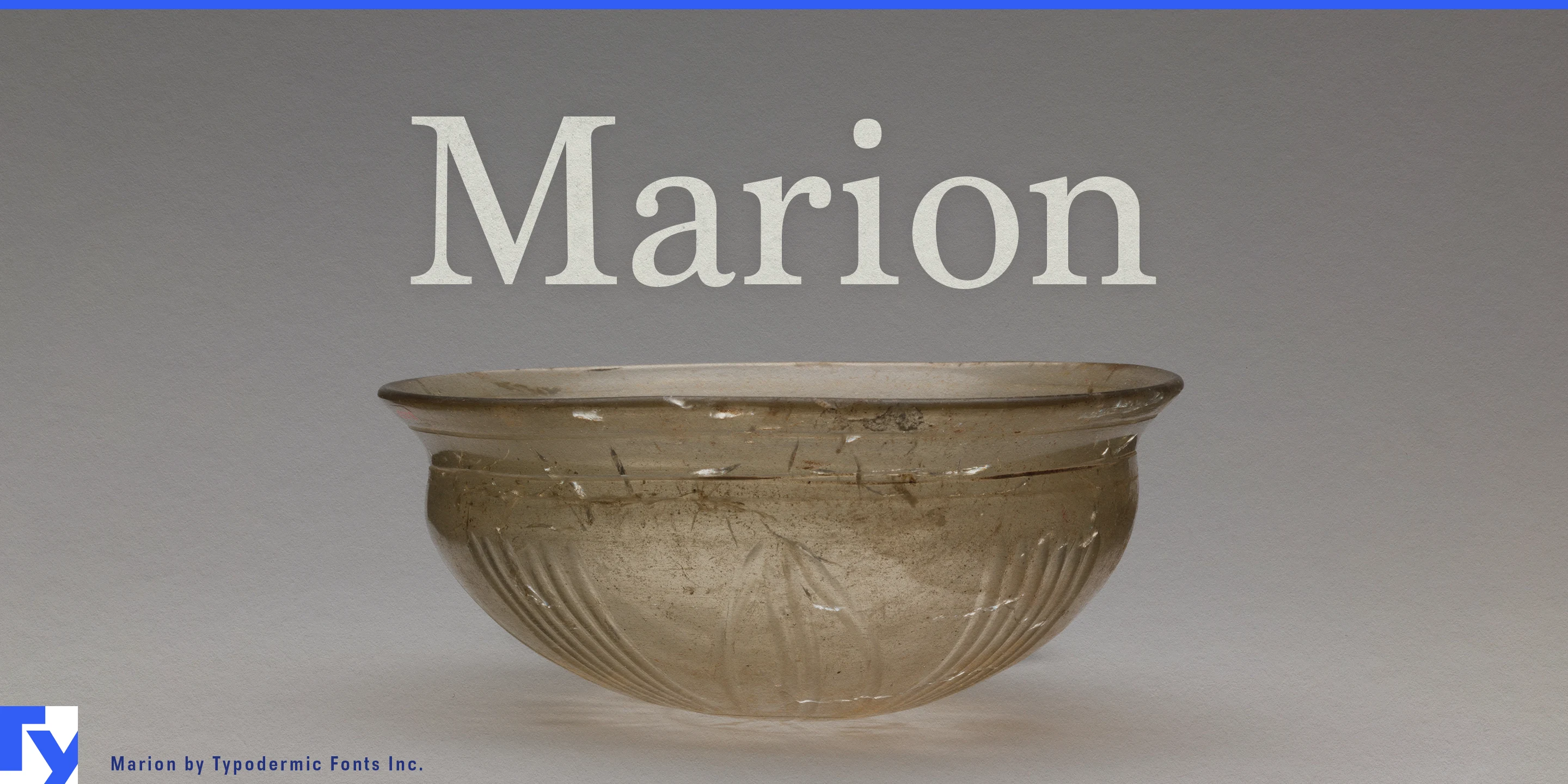 Spécimen 1 de Marion