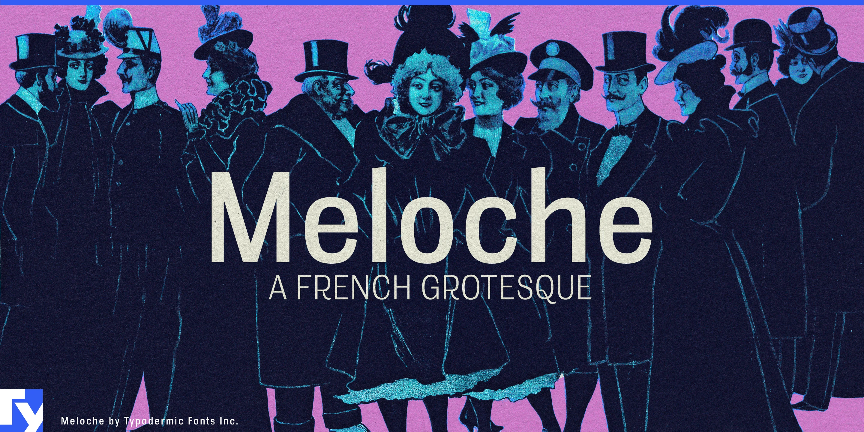 Amostra 1 de Meloche