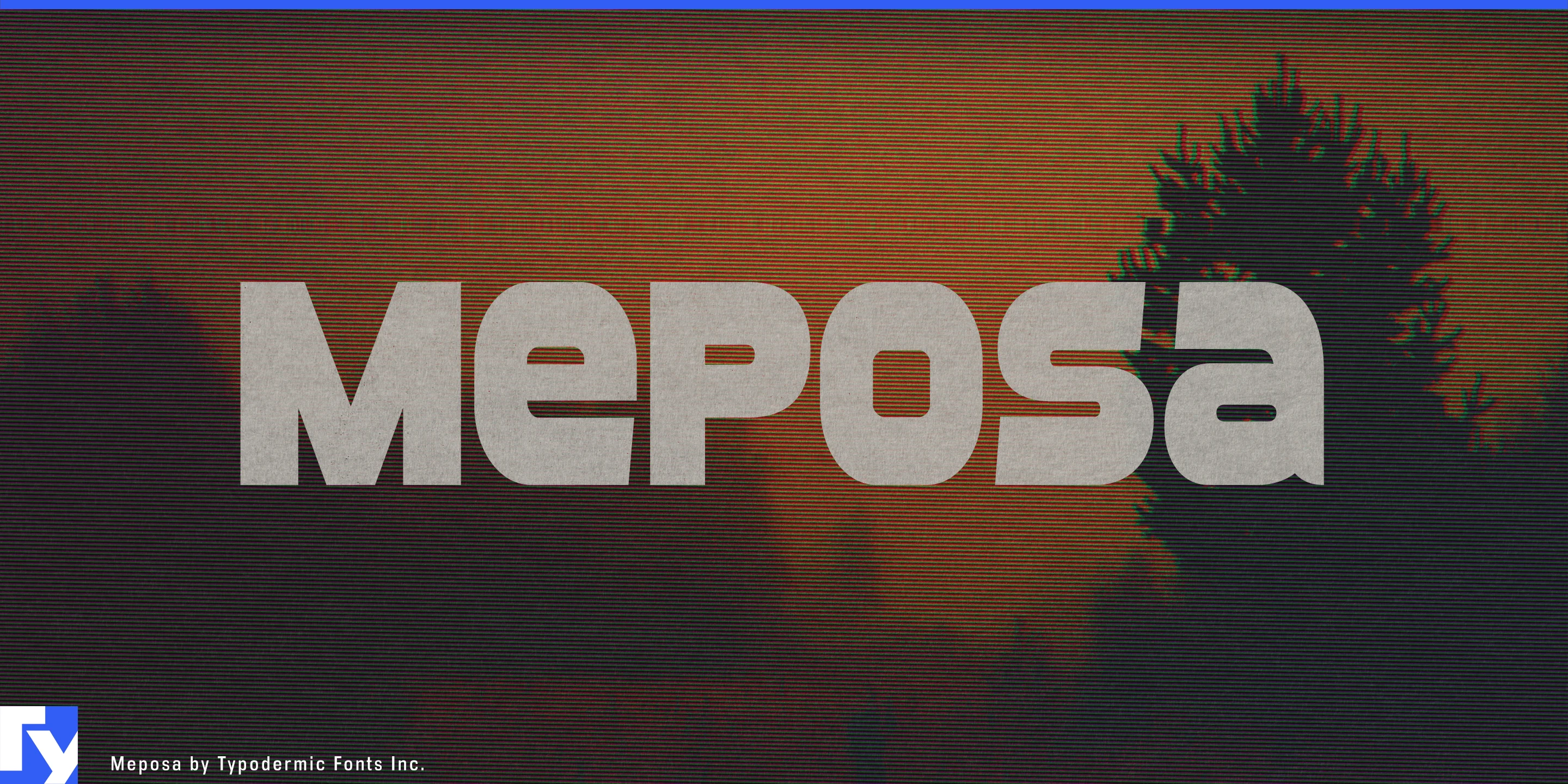 Spécimen 1 de Meposa