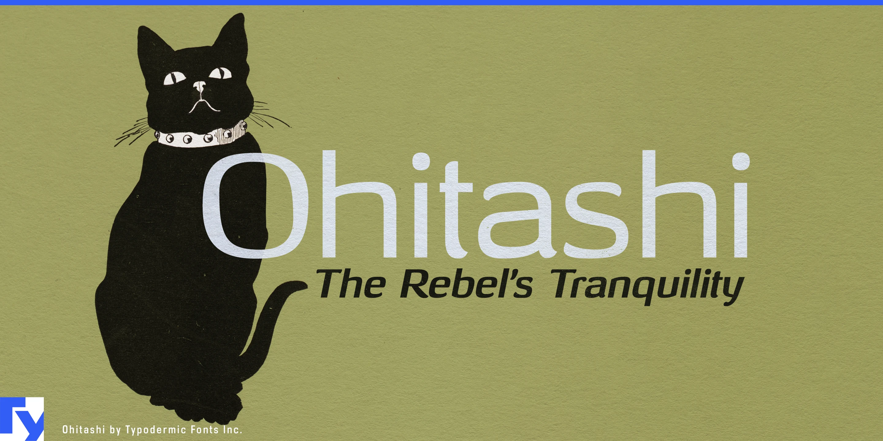 Ohitashiの見本 1