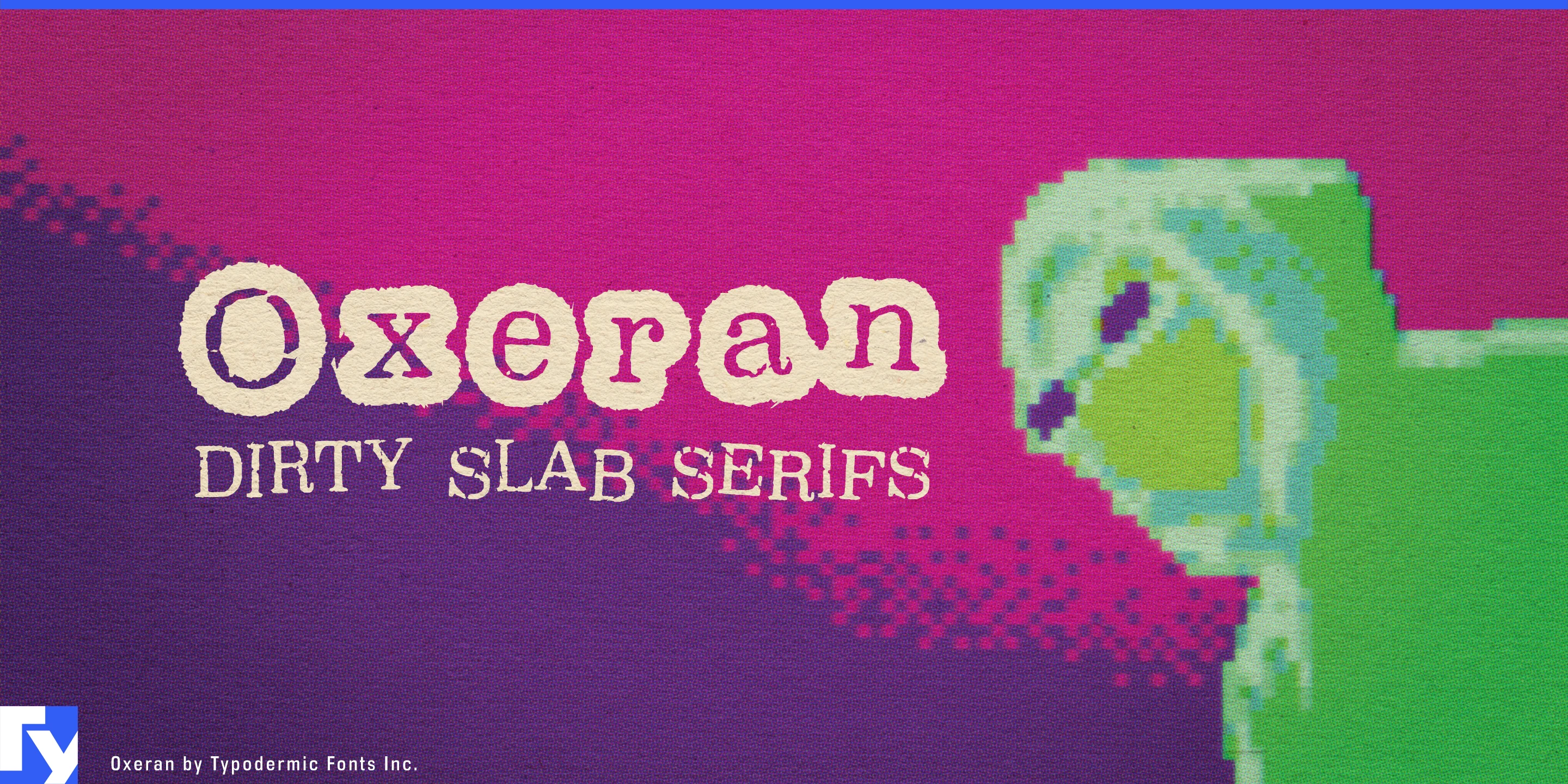 Spécimen 1 de Oxeran