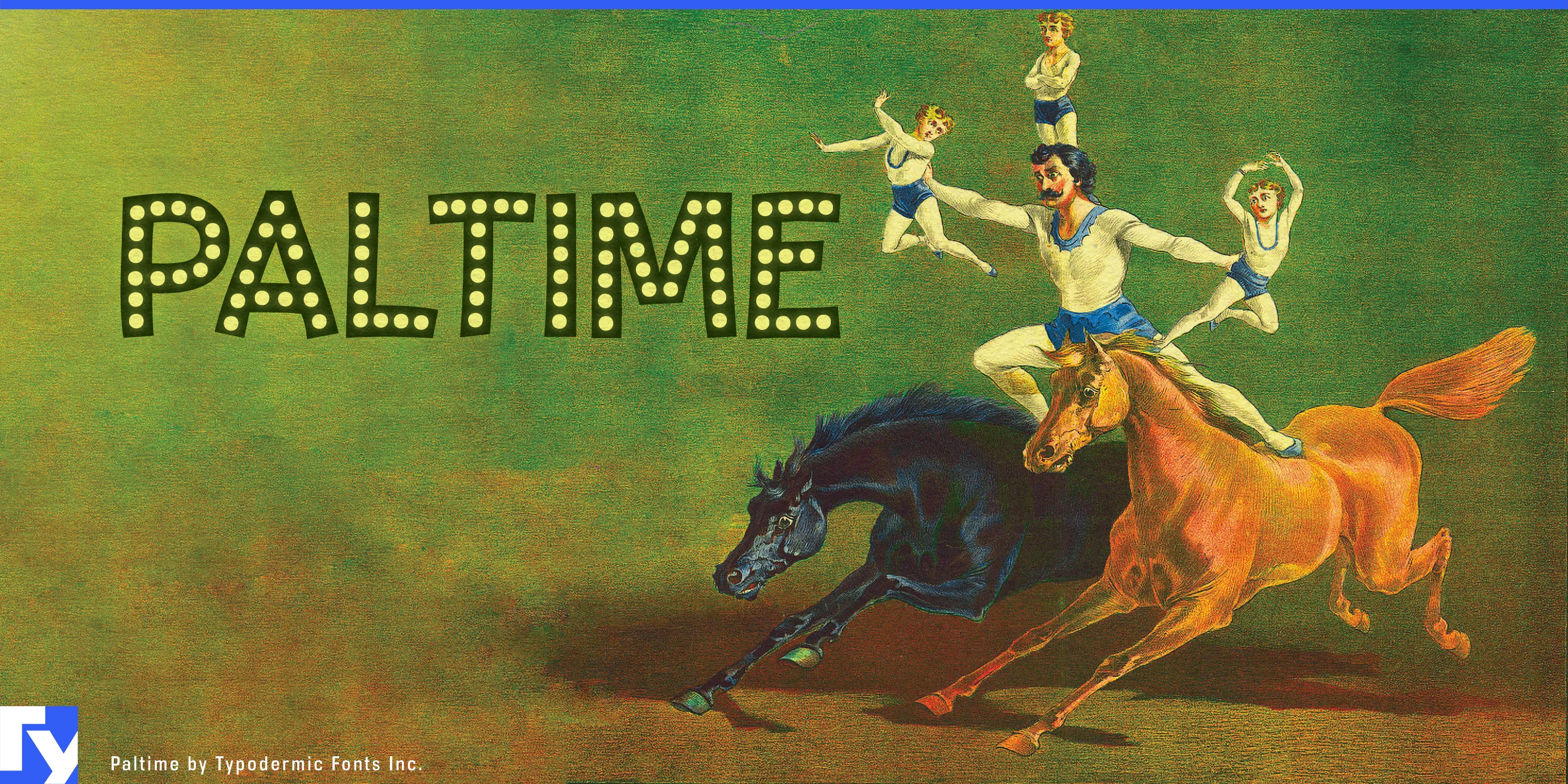Paltime 样张 1