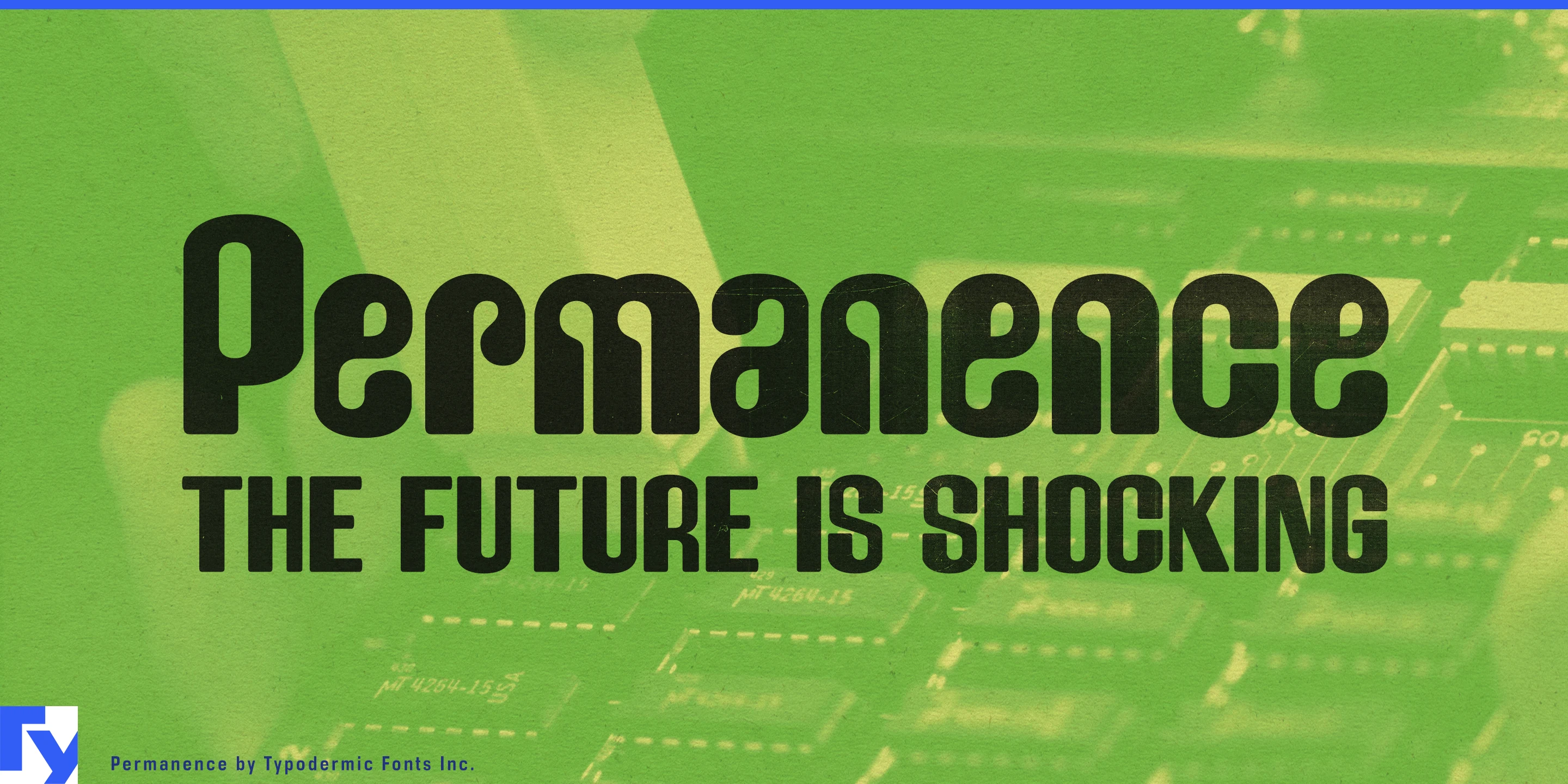 Spécimen 1 de Permanence