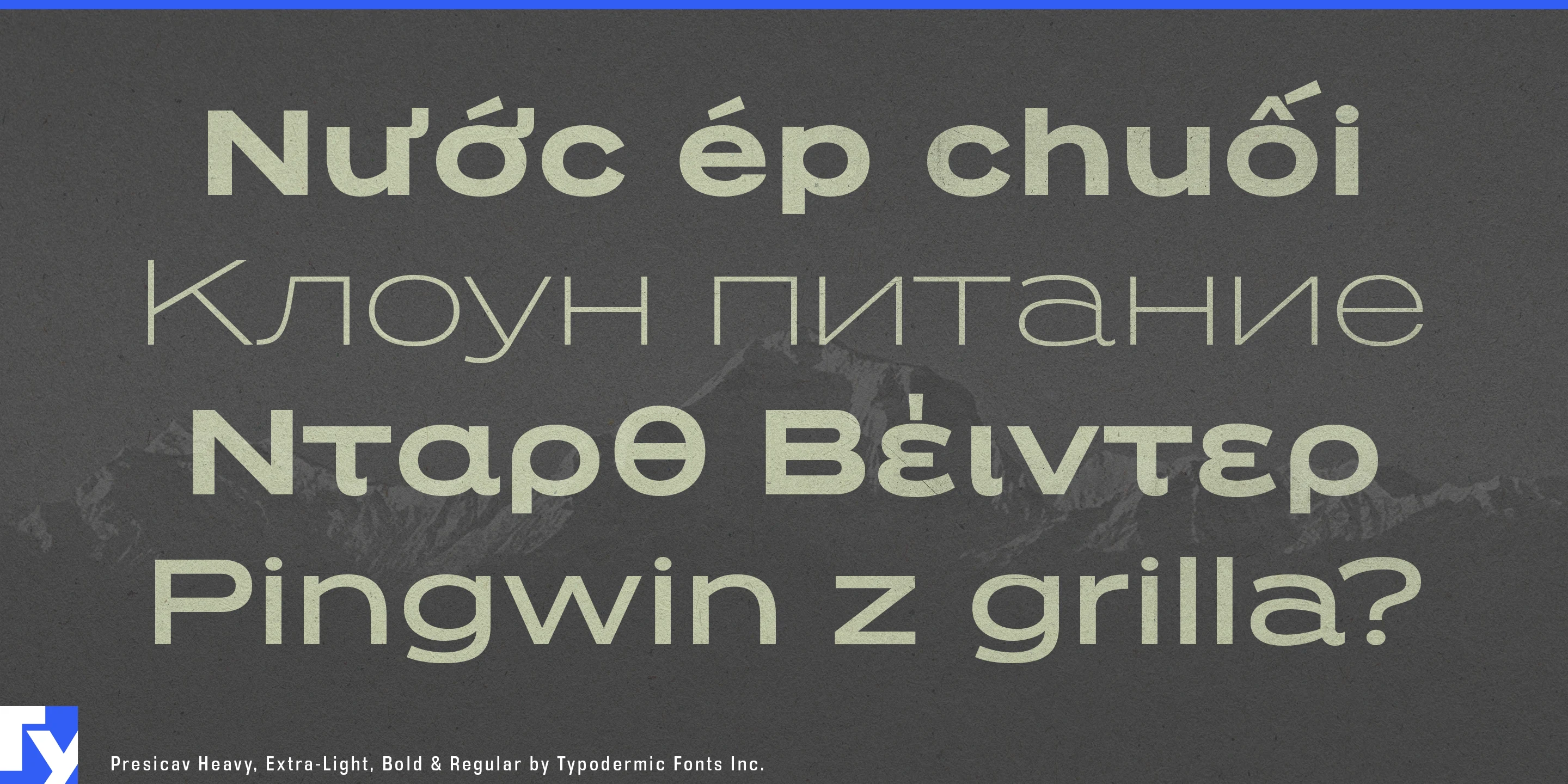 Schriftmuster 2 von Presicav