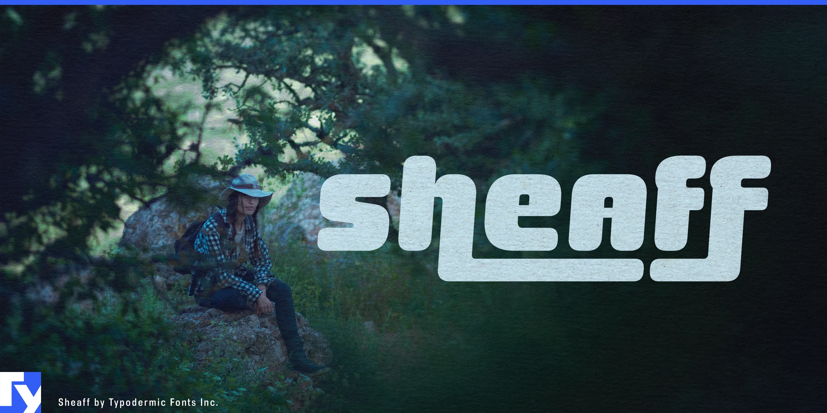 Sheaff 样张 1