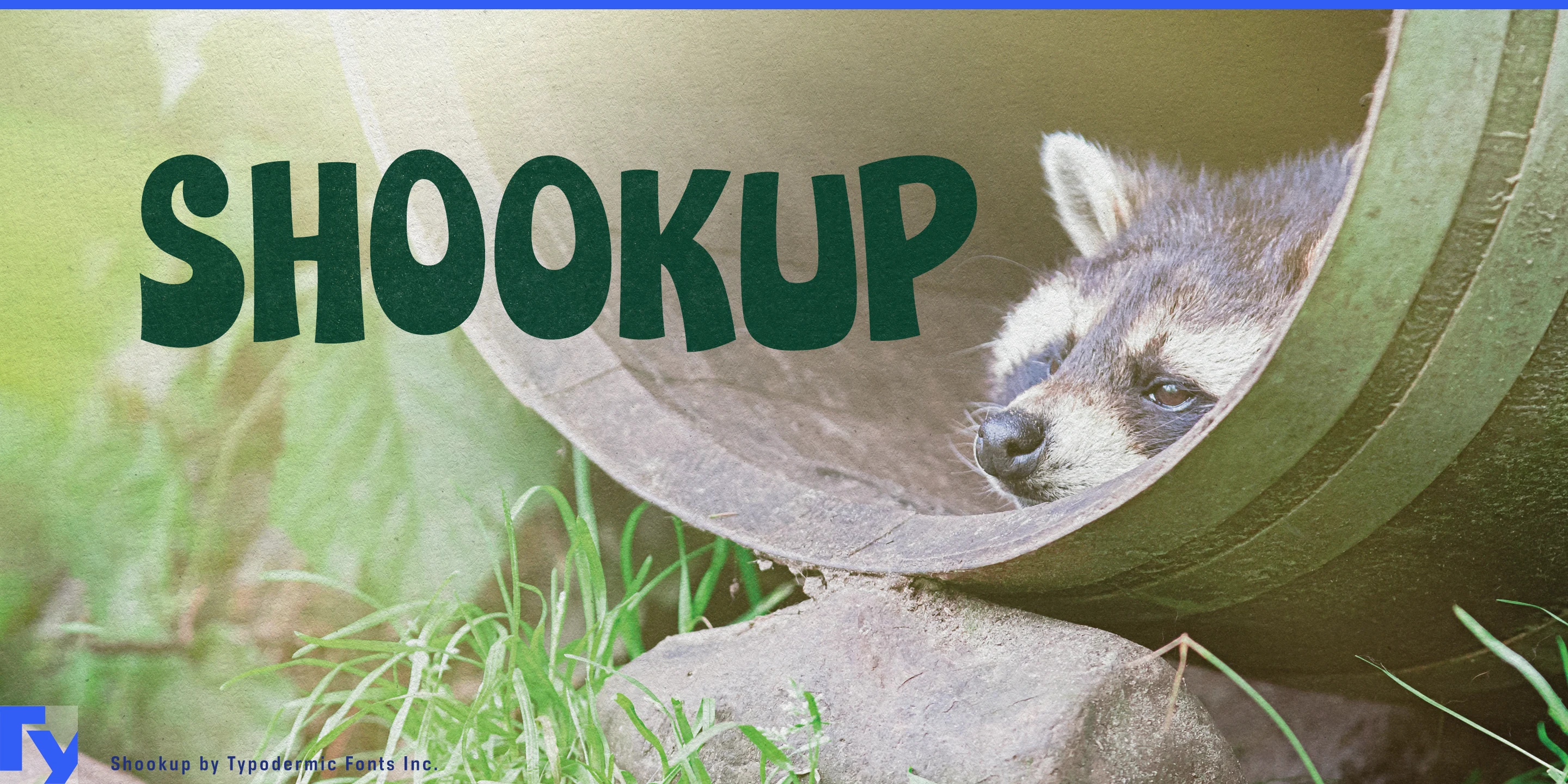 Shookupの見本 1