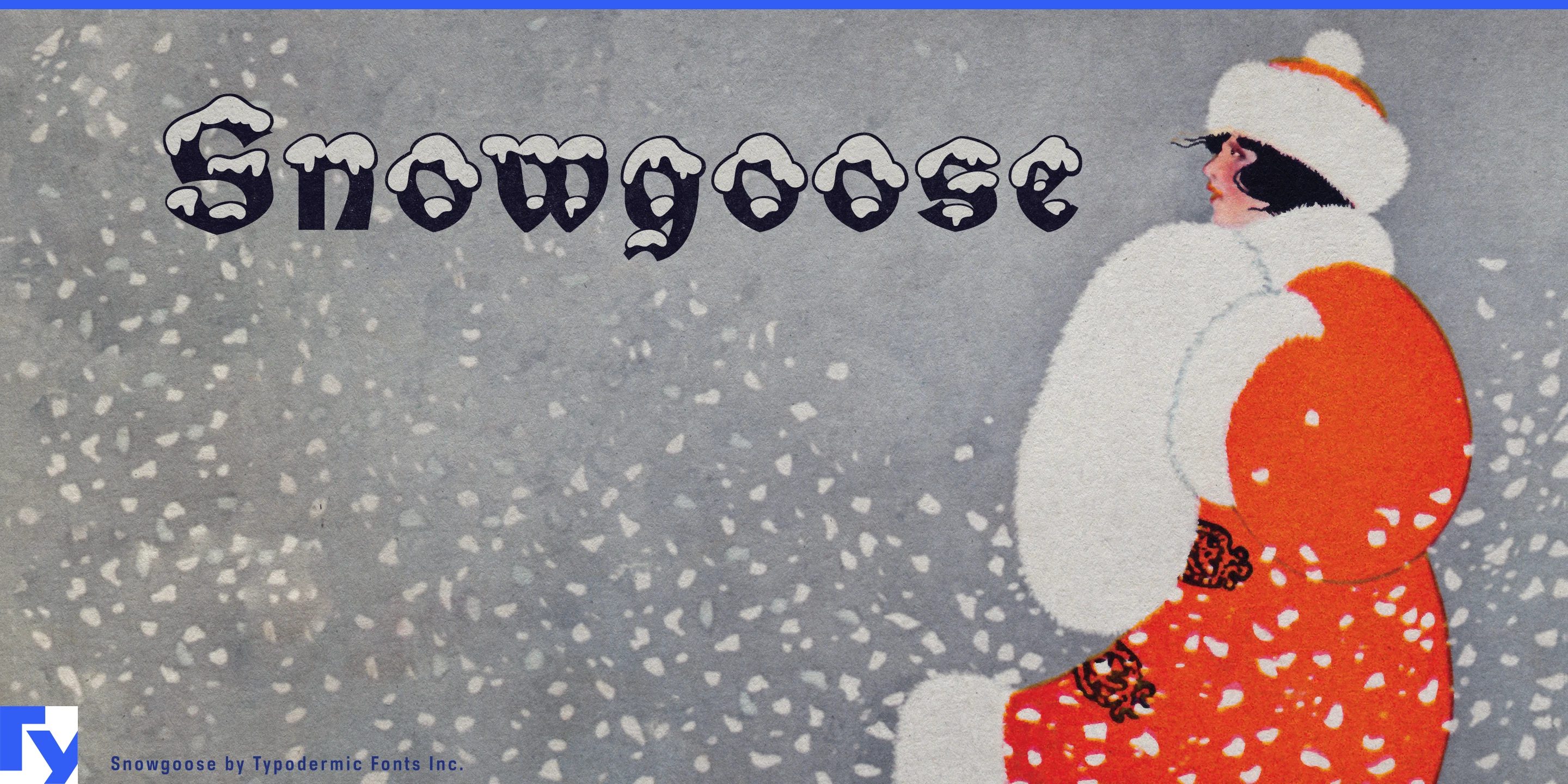 Snowgoose specimen 1