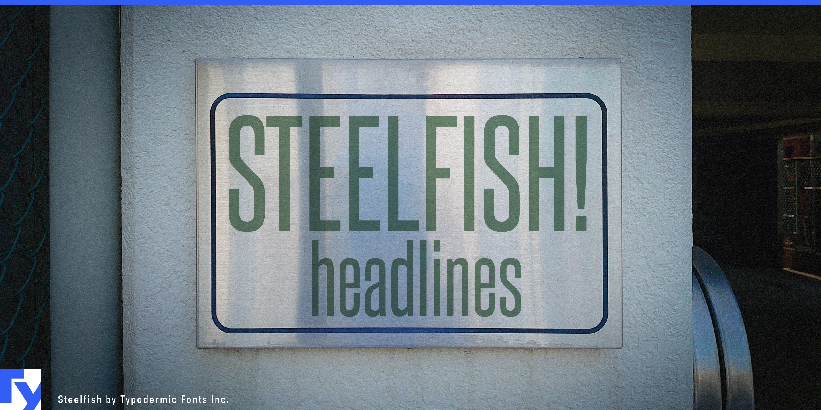 Steelfish specimen 1