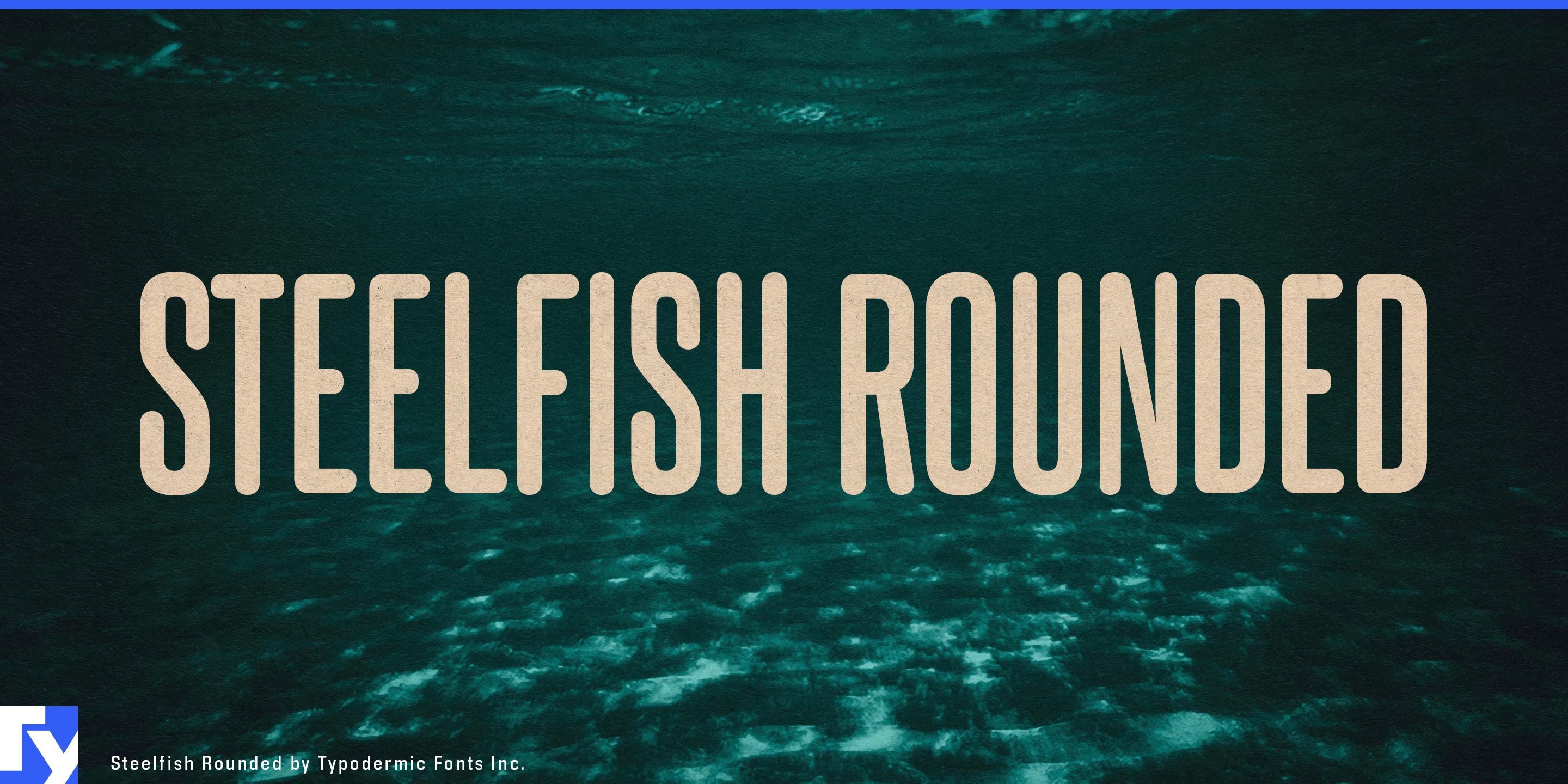 Spécimen 1 de Steelfish Rounded