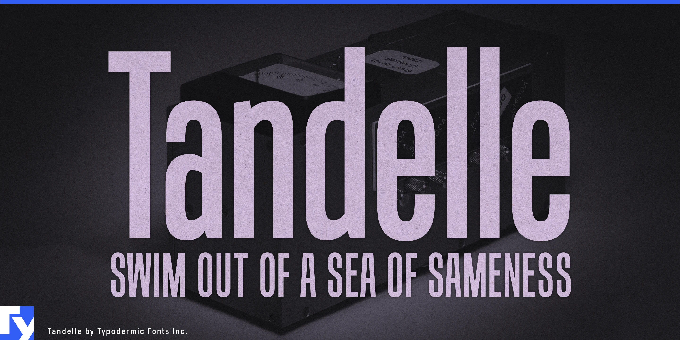 Spécimen 1 de Tandelle