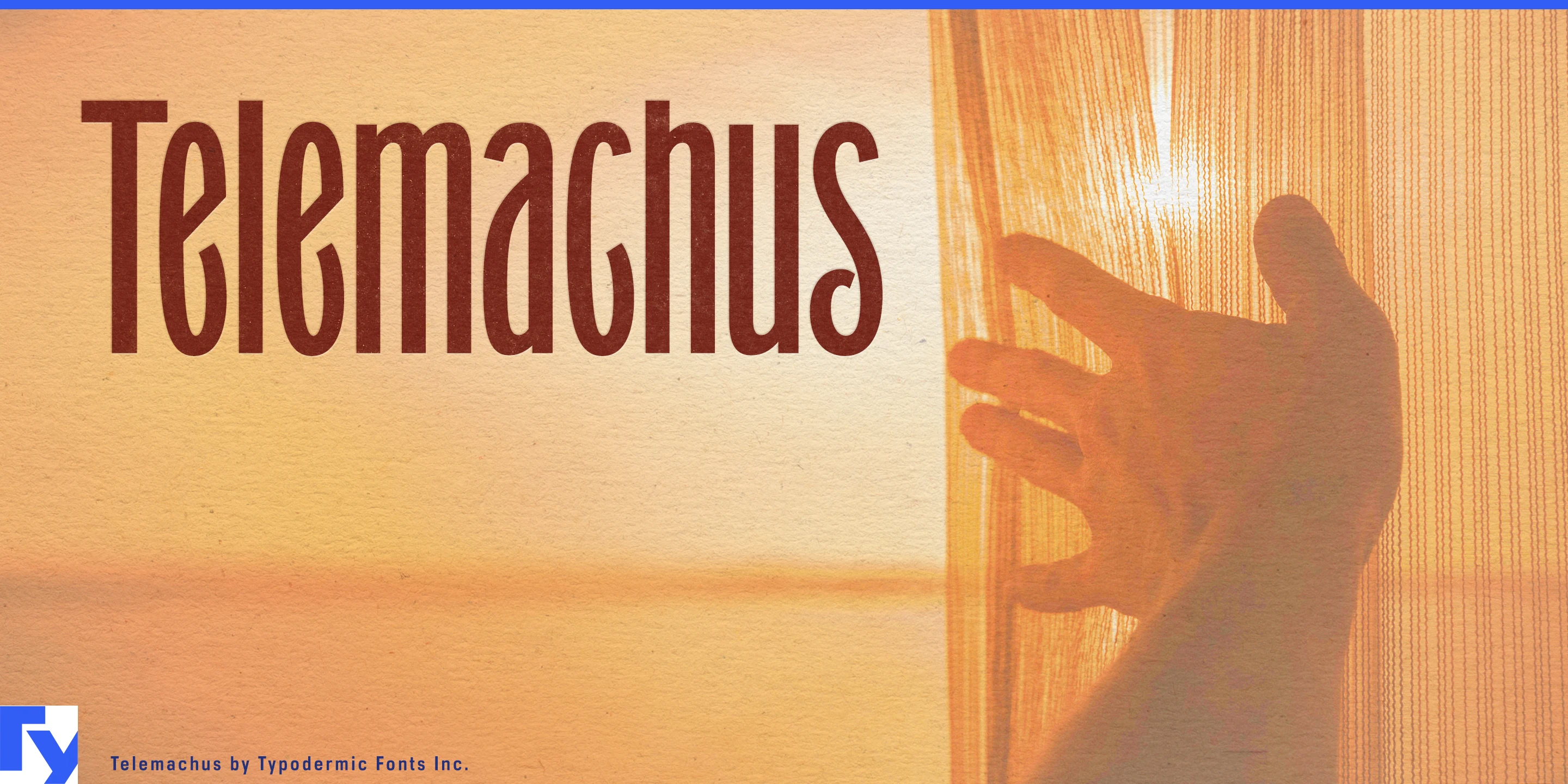 Spécimen 1 de Telemachus