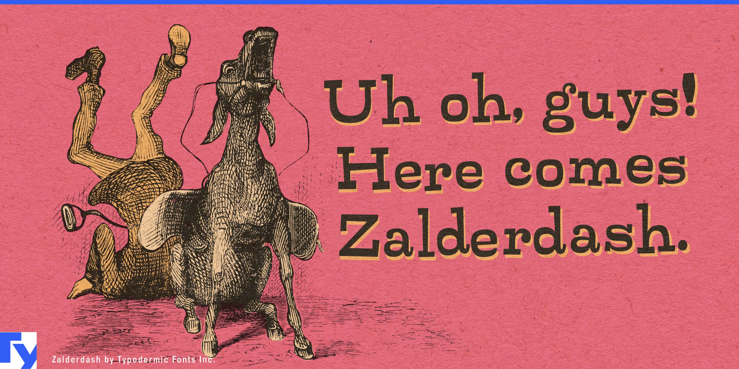 Zalderdash 样张 1